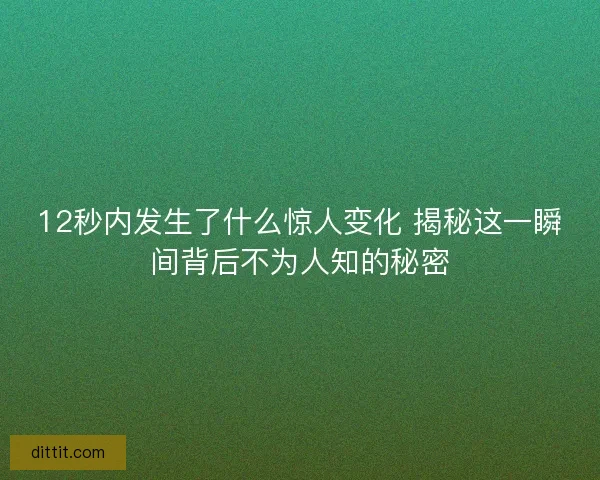 12秒内发生了什么惊人变化 揭秘这一瞬间背后不为人知的秘密