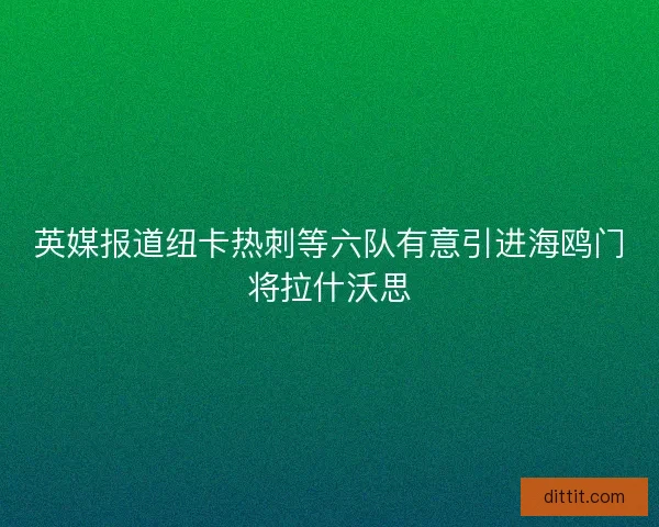 英媒报道纽卡热刺等六队有意引进海鸥门将拉什沃思