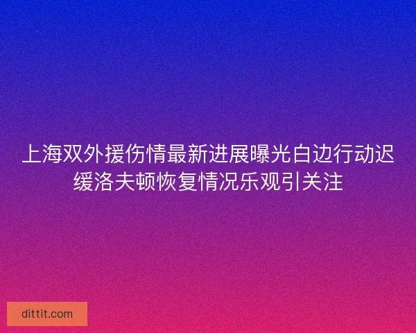 上海双外援伤情最新进展曝光白边行动迟缓洛夫顿恢复情况乐观引关注 上海双外援伤情最新进展曝光白边行动迟缓洛夫顿恢复情况乐观引关注